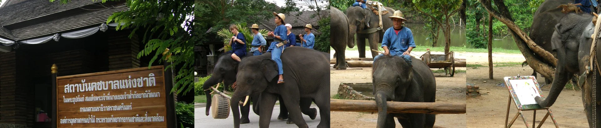 ศูนย์อนุรักษ์ช้างไทย