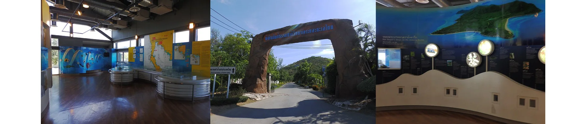 พิพิธภัณฑ์ธรรมชาติวิทยาหมู่เกาะและทะเลไทย - Image 1