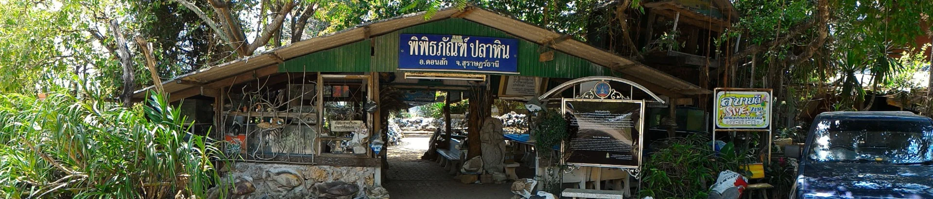พิพิธภัณฑ์ปลาหิน