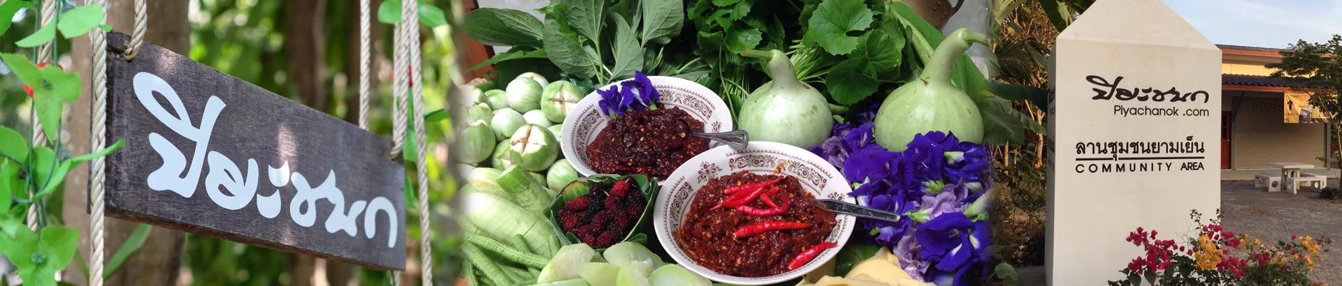 ศูนย์เรียนรู้ภูมิปัญญาไทยปิยะชนก