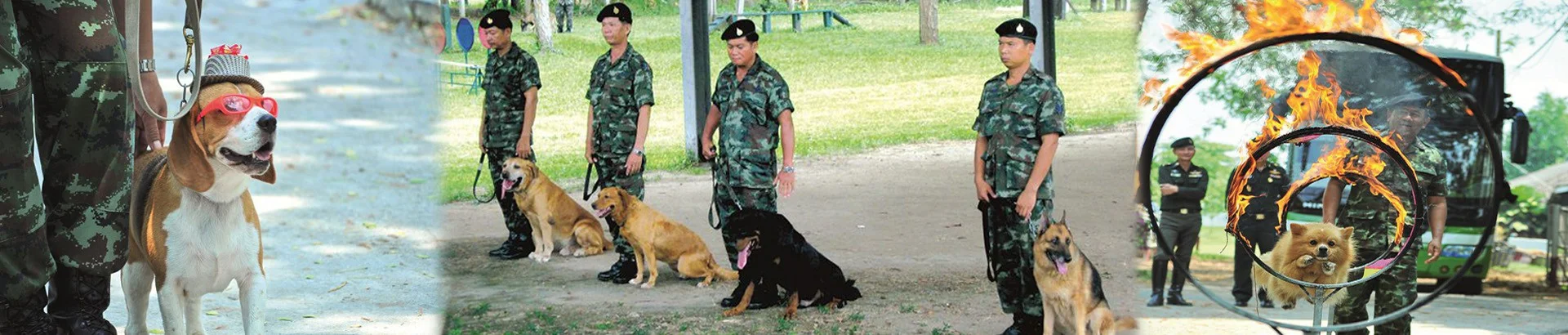 พิพิธภัณฑ์สุนัขทหาร