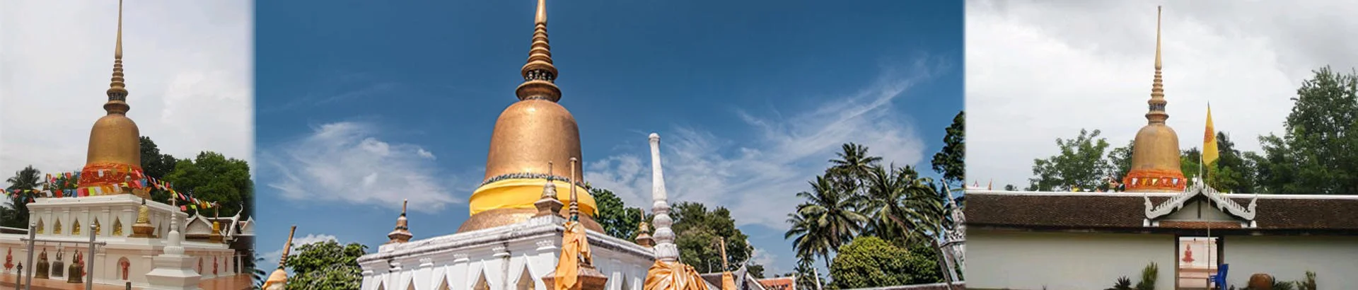 พิพิธภัณฑ์วัดพระธาตุสวี - Image 1
