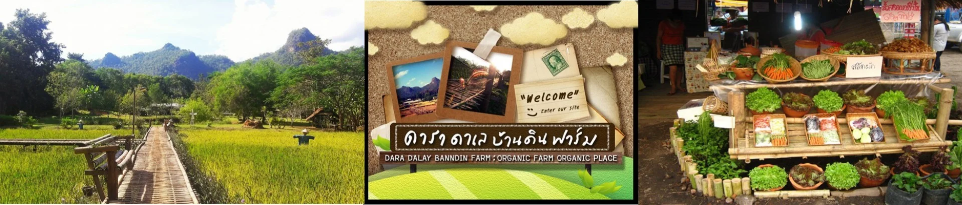 แหล่งเรียนรู้ดารา ดาเล บ้านดินฟาร์ม