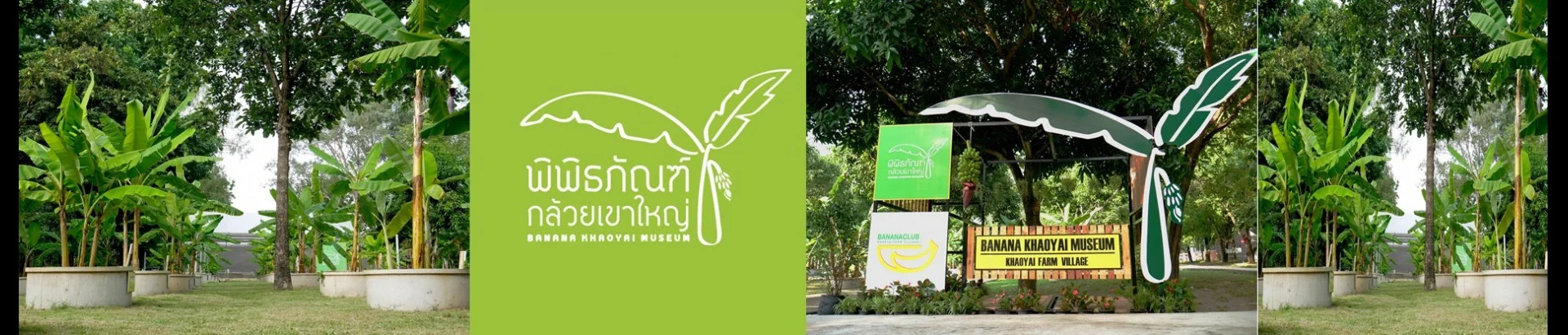 พิพิธภัณฑ์กล้วยเขาใหญ่
