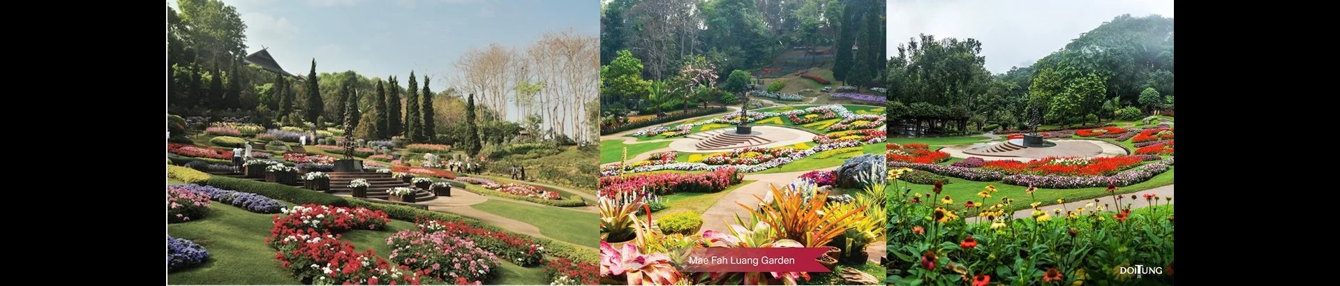 สวนแม่ฟ้าหลวง - Image 1